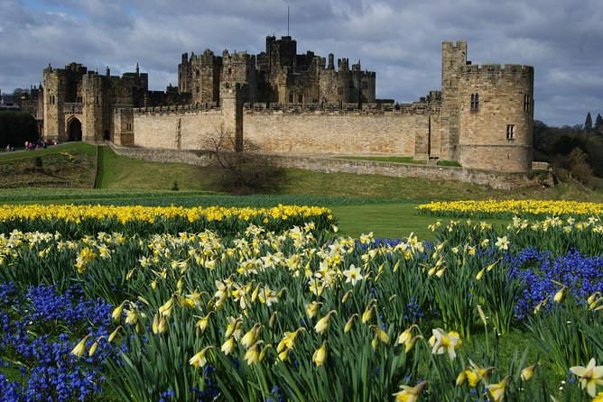 1 Day Alnwick Castle, Holy Island & Scottish Borders - Bamburgh Castle above the North Sea
