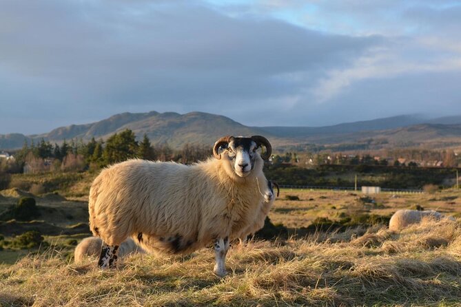 1 Day Castles, West Highlands and Loch Lomond Tour from Edinburgh - Tyndrum and the edge of Rannoch Moor