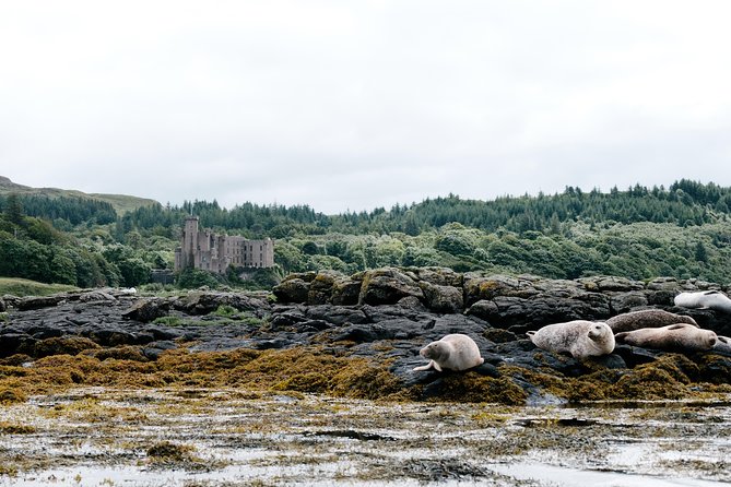 3-Day Isle of Skye, 'Hogwarts Express' Train and Highlands Tour - Dunvegan Castle, clan stories, and a longer afternoon stop