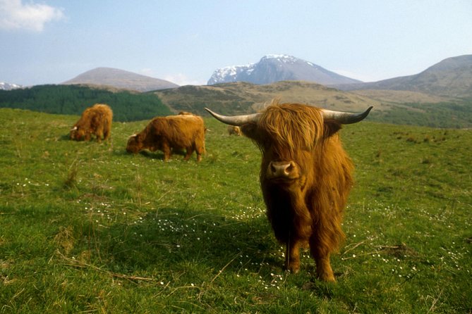 3-Day Isle of Skye, 'Hogwarts Express' Train and Highlands Tour - What the guide adds to a long coach journey