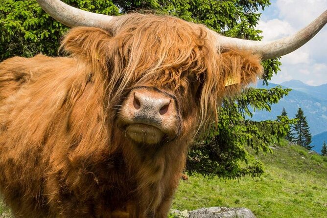 3 Day - Isle of Skye, Loch Ness & Glenfinnan Tour from Edinburgh - Day one: from Loch Lomond to the Isle of Skye