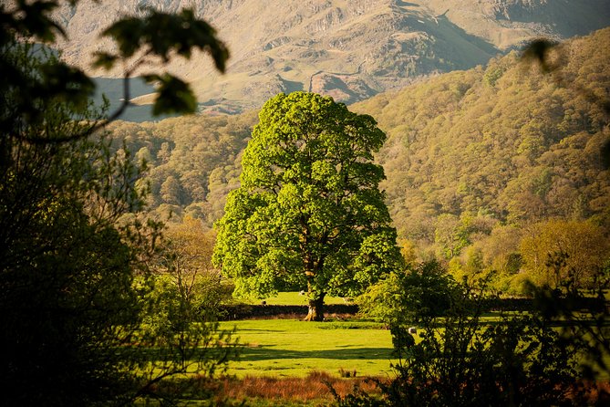 3-Day Lake District Explorer Small-Group Tour from Edinburgh - Who should book this trip