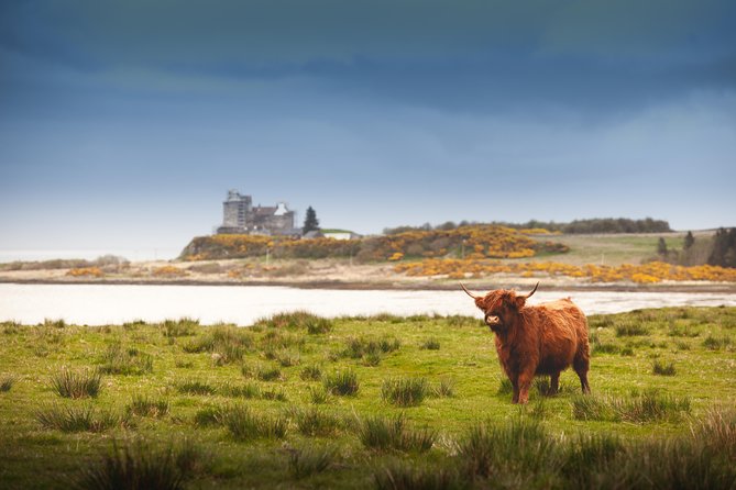 4-Day Magical Mull, Iona & West Highlands Small-Group Tour from Edinburgh - What the price includes, and what it does not