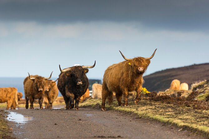 8 Day Isle of Skye, Orkney & North Coast 500 tour from Edinburgh - Why this eight-day route works