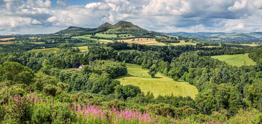 Alnwick Castle, Northumberland & Scottish Borders 1-Day Tour - Key points to know before booking