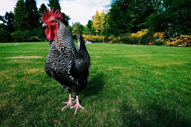 Central Scotland Driving Tour - Stirlingshire (Private) - Callander, the gateway to the Highlands