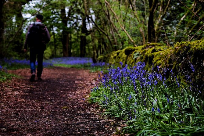 Central Scotland Driving Tour - Stirlingshire (Private) - Balquhidder, Rob Roy, and a short Highland walk