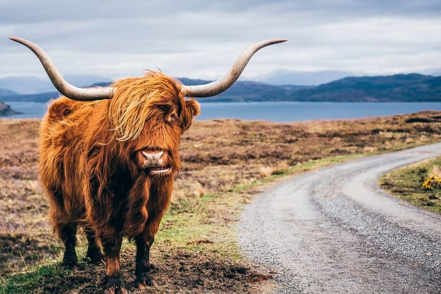 Edinburgh: 3-Day Isle of Skye, Highlands, and Loch Ness Tour - Why this three-day route works