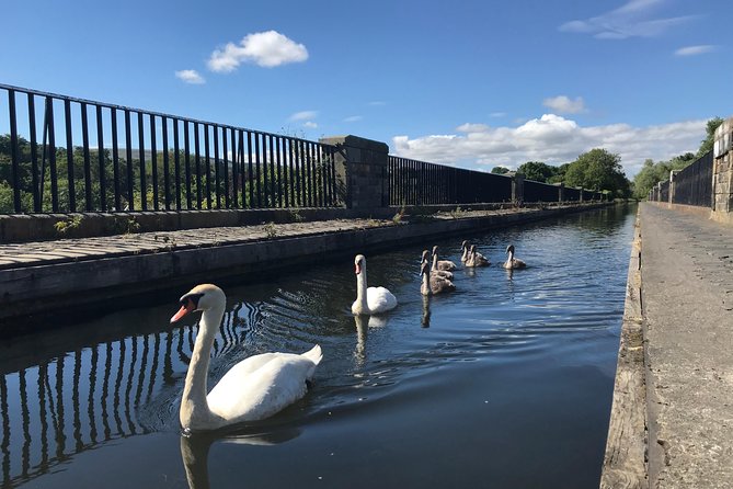 Edinburgh City Bike Tour - Choice of E-Bike or Manual - Calton Hill views without the climb