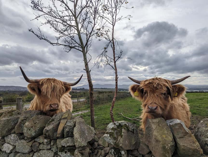 Edinburgh: Harry Potter, Glenfinnan Viaduct & Highland Tour - Loch Tulla and Rannoch Moor reveal the wilder side of Scotland