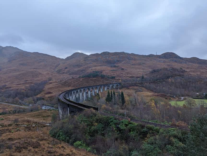Edinburgh: Harry Potter, Glenfinnan Viaduct & Highland Tour - Hand-feeding Highland coos is a simple, memorable finish