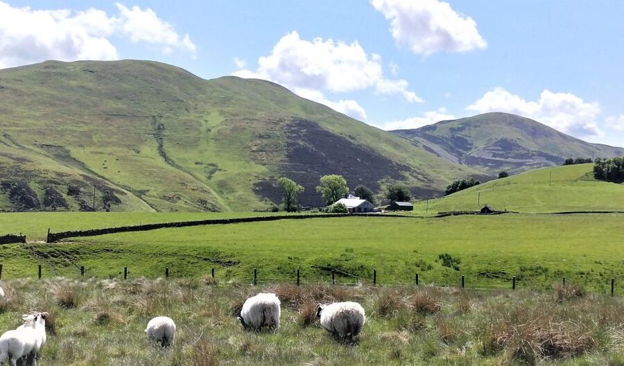 Edinburgh: Hill & Nature Hike With a Local - Booking advice for a half-day outdoor plan