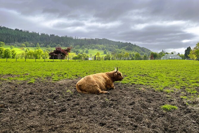 Edinburgh: Loch Ness, Glencoe & The Highlands - Glencoe brings scenery and difficult history together