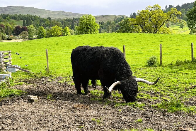 Edinburgh: Loch Ness, Glencoe & The Highlands - Fort Augustus is your Loch Ness choice