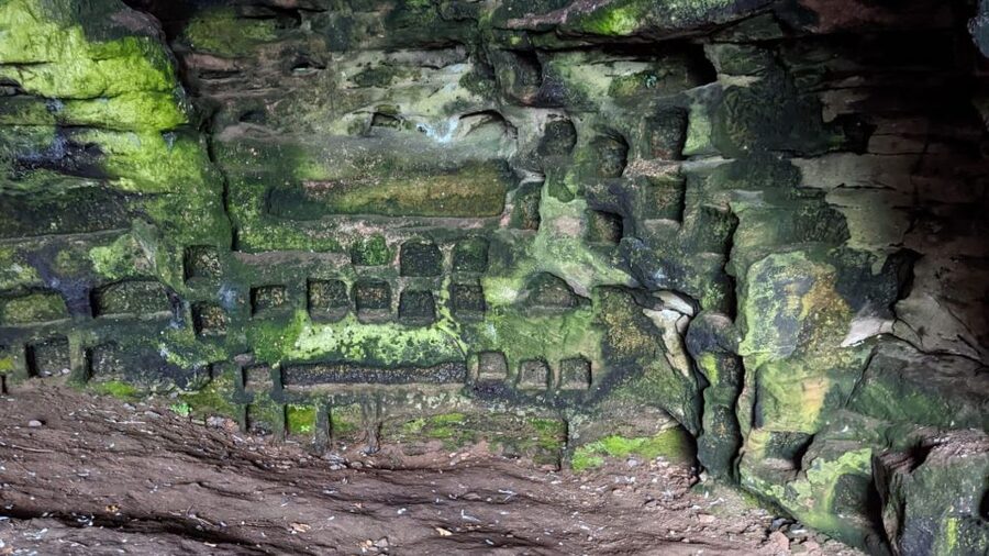 Edinburgh: St Andrews, Dunfermline Abbey and Fife Coast Tour - Who should book this tour