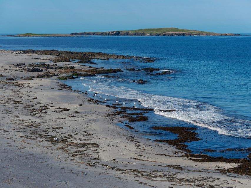 From Edinburgh: 6-Day Shetland & Nothernmost Explorer - Day 5: Shetland ponies, Minn Beach, and the return ferry