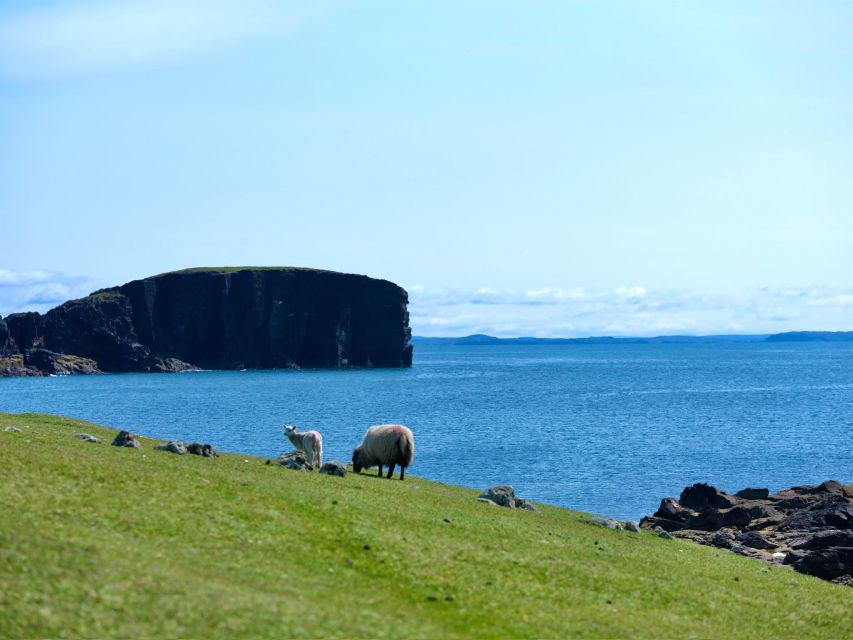 From Edinburgh: 6-Day Shetland & Nothernmost Explorer - Day 2: Lerwick, ancient settlements, and Sumburgh
