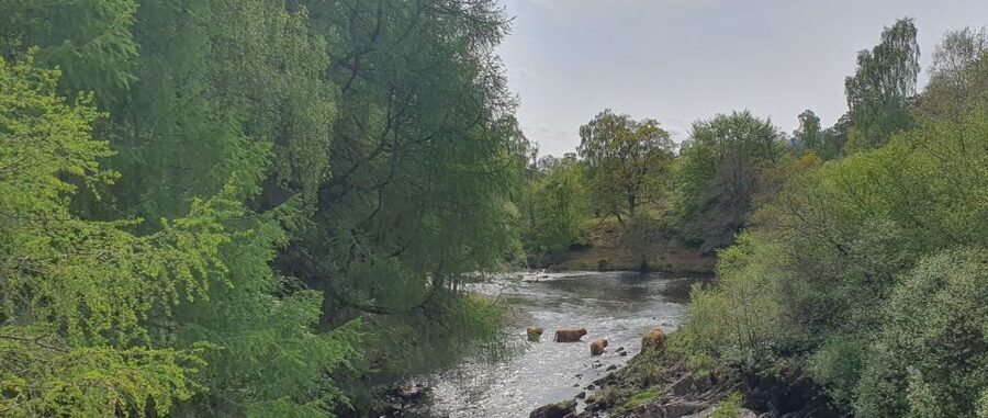 From Edinburgh: a Private Tour to a Majestic Highland Glen - Why Glen Lyon makes this day different