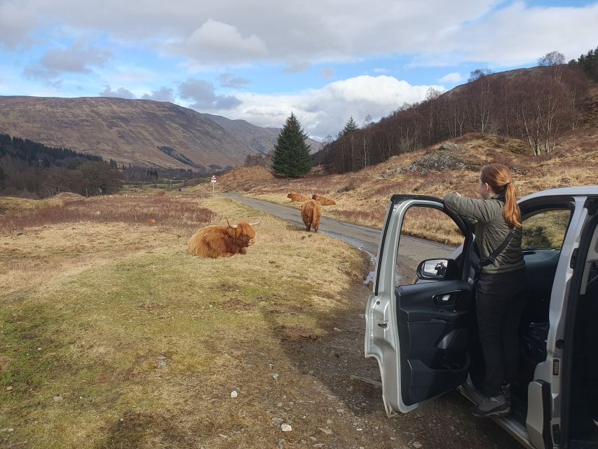 From Edinburgh: a Private Tour to a Majestic Highland Glen - Who should book this Glen Lyon tour