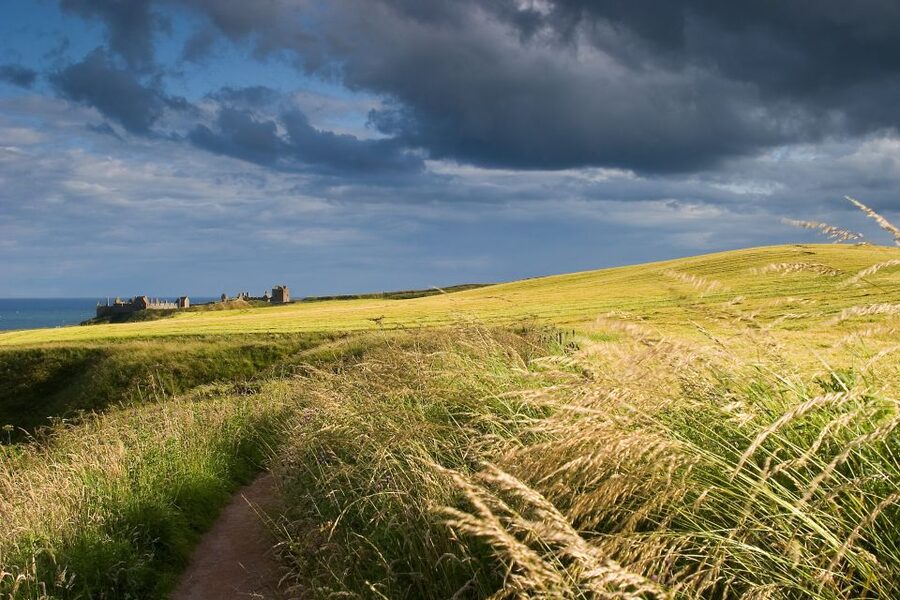 From Edinburgh: Glamis and Dunnottar Castles Tour in Italian - Glamis Castle trades ruins for royal rooms and ghost stories