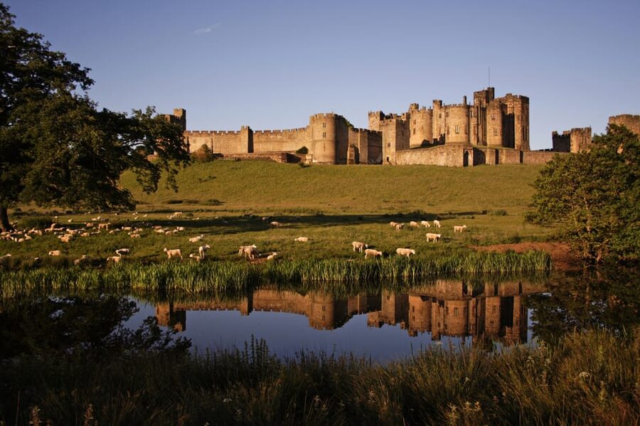 From Edinburgh: Holy Island, Alnwick Castle & Northumbria - Lindisfarne Priory and the island’s mead