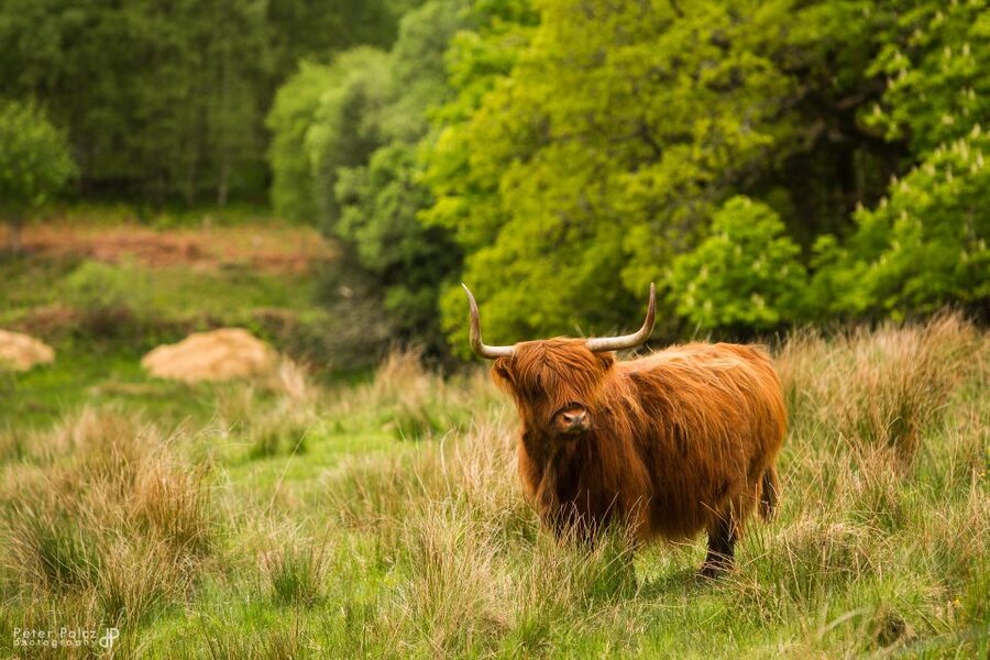 From Edinburgh: Isle of Skye and Hogwarts Express 4-Day Trip - Day three: the Isle of Skye at its best