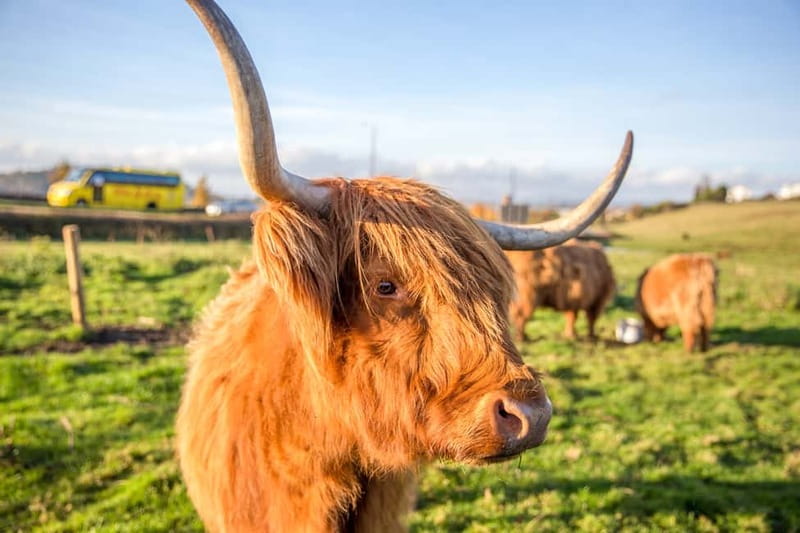 From Edinburgh: Isle of Skye & Highlands 3-Day Guided Tour - Skye gets the tour’s most memorable day