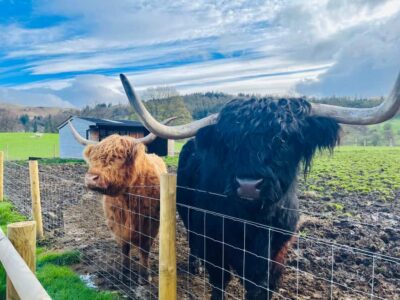 Loch Ness, Glencoe & The Highlands Day Trip