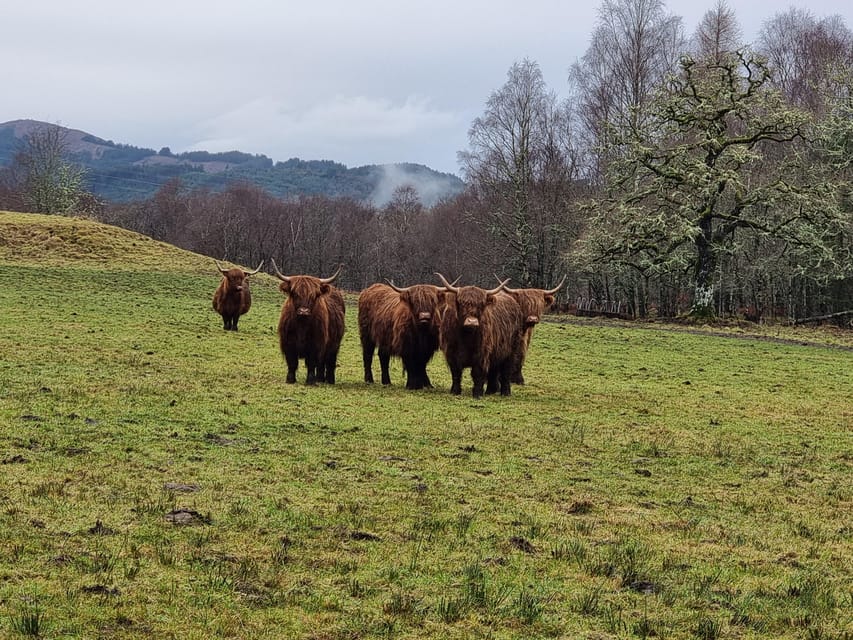 From Edinburgh: Loch Ness Private Day Tour with Transfers - Loch Lubnaig offers the first real walk