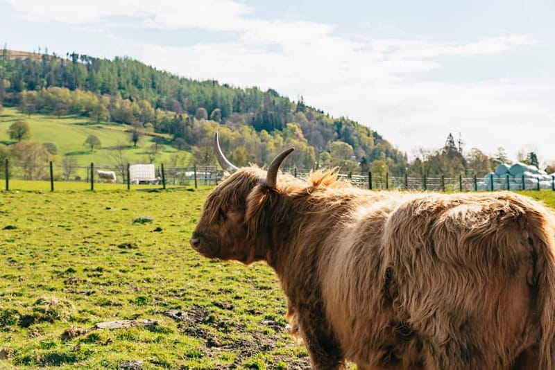 From Edinburgh: Loch Ness & Scottish Highlands Tour - Fort William beneath Ben Nevis