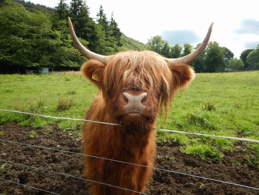 From Edinburgh: Scottish Highlands & Isle of Skye 5-Day Tour - Day five: Culloden, the Cairngorms, and Pitlochry