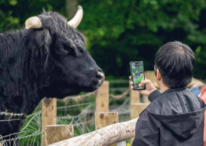 From Edinburgh: Stirling Castle, Kelpies and Loch Lomond - Key points to know before booking