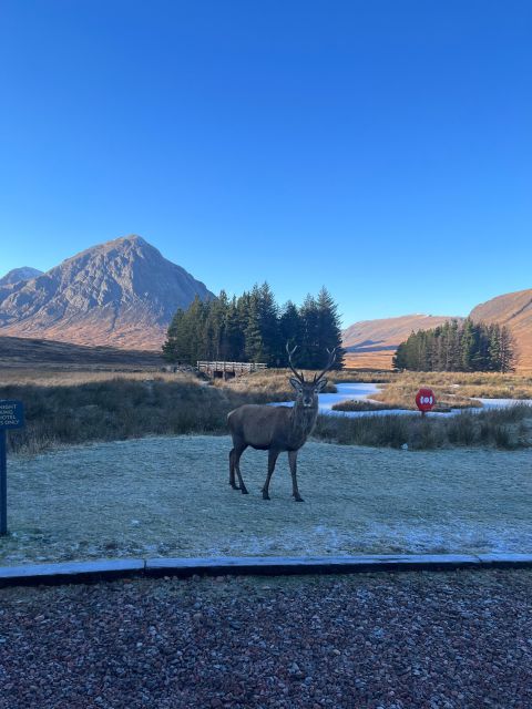 From Edinburgh: The Kelpies, Glencoe & Loch Lomond Day Tour - Key points at a glance