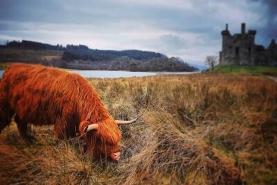 Full Day Private Tour in West Highlands, Oban and Glencoe