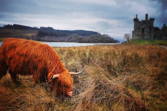 Full Day Private Tour in West Highlands, Oban and Glencoe - Loch Lubnaig starts the day with open views
