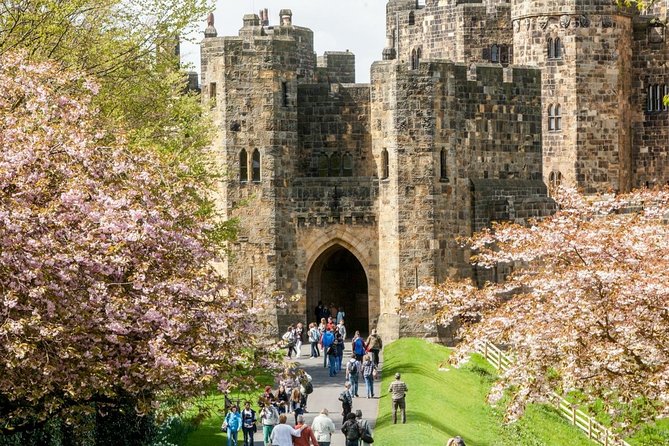 Harry Potter's Alnwick Castle and Scottish Borders Day Trip - Bamburgh Castle and the North Sea view