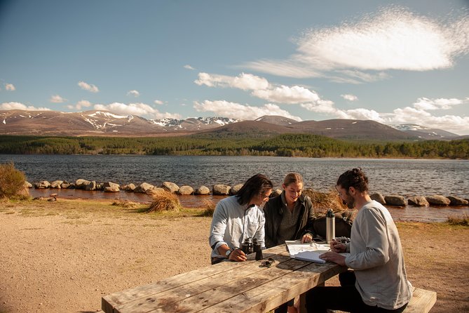 Highland Lochs, Glens & Whisky Day Tour Including Admission - Queen’s View in five minutes