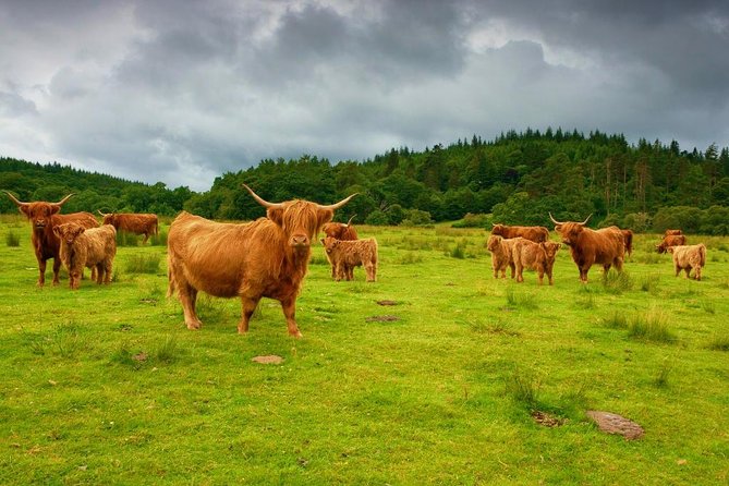 Highlights of Scotland Custom Private Tour from Edinburgh - Loch Katrine connects scenery, literature, and local life