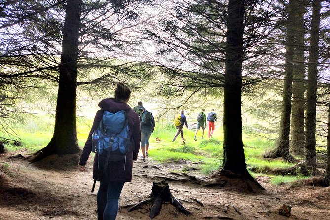 Hill & Nature Hike - Discover Real Edinburgh With a Local Expert - Downhill paths, reservoirs, and changing scenery