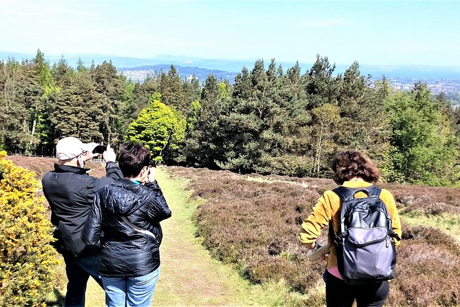 Hill & Nature Hike - Discover Real Edinburgh With a Local Expert - Highland cows, sheep, deer, and birds