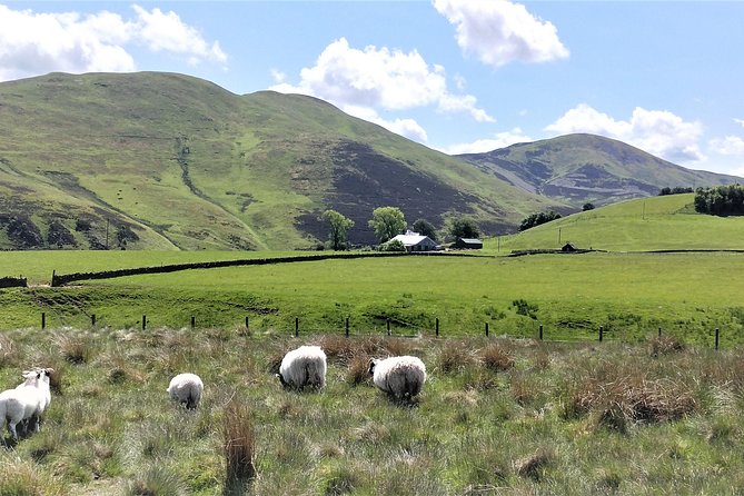 Hill & Nature Hike - Discover Real Edinburgh With a Local Expert - Who will get the most from this hike