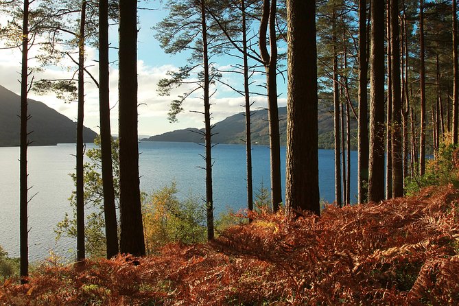 Loch Lomond, Kelpies & Stirling Castle Tour Including Admission - Is $72.95 Good Value?