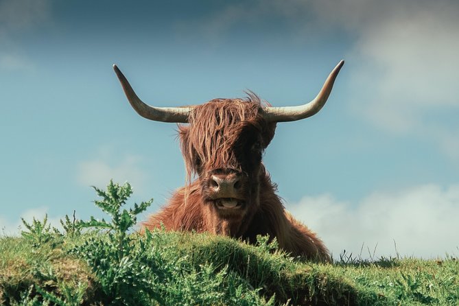 Loch Ness, Glen Coe & The Highlands Day Tour from Edinburgh - Fort William and Ben Nevis from the coach