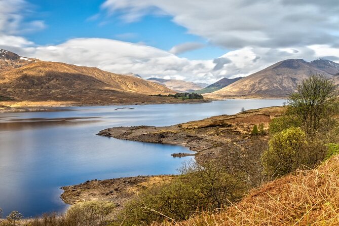 Luxury Private Tour of The Highlands & Loch Ness from Edinburgh - Kilmahog brings you face to face with Highland cattle