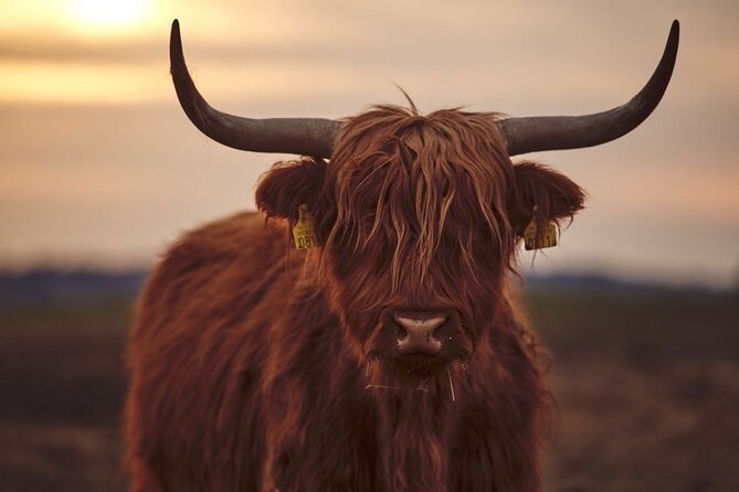 Luxury Private Tour of The Highlands & Loch Ness from Edinburgh - Glencoe is the emotional center of the day