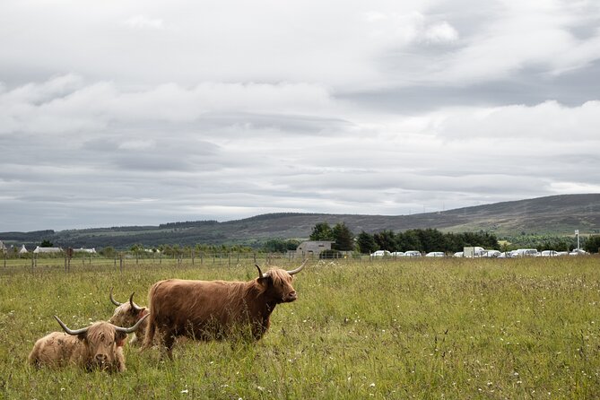 Private Full-Day Tour to the Scottish Highlands and Loch Ness - Fort William adds another Highland town