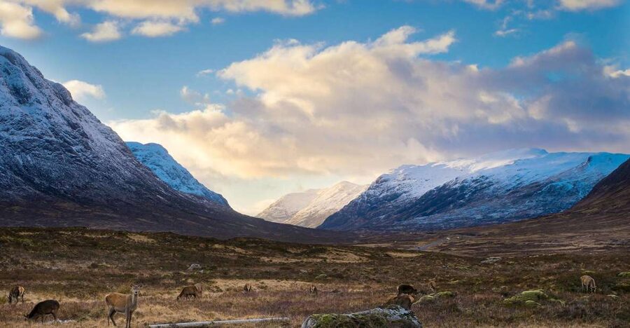 Private Harry Potter Day Tour For Small Groups - Glen Coe and the darker side of the films