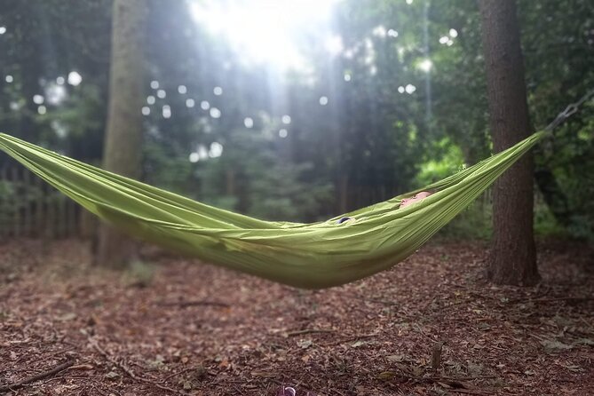 Private Mindfulness and Nature Walk in Edinburgh - What the 90-minute session is likely to feel like