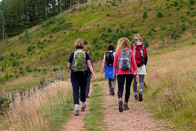 Private Mindfulness and Nature Walk in Edinburgh - Anna’s calm, people-focused style
