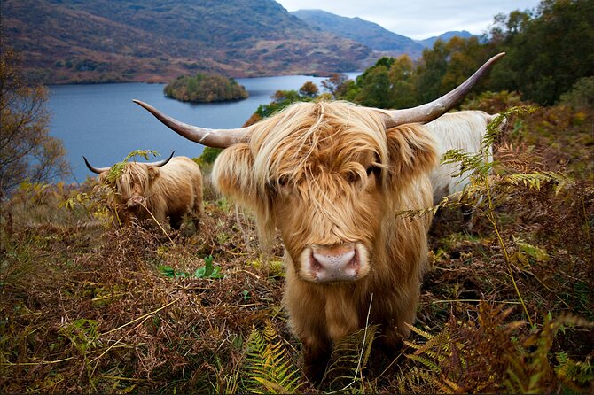 Private Tour of Loch Ness, Glencoe and Highlands from Edinburgh - Pitlochry offers a useful early pause